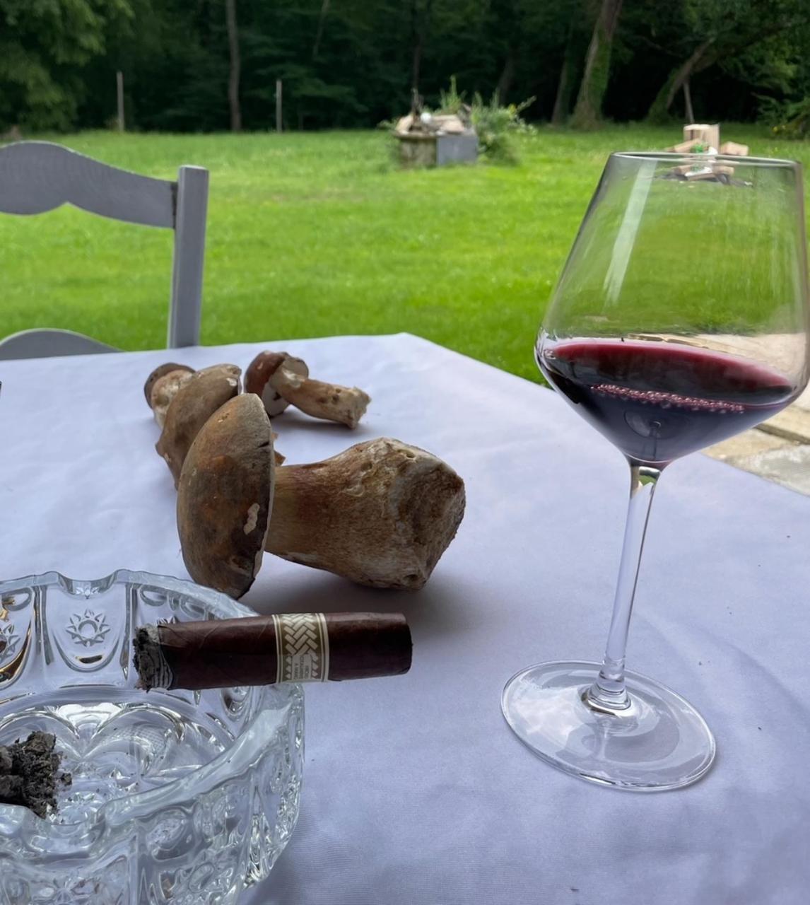 La Cheneraie De Tomelou - Belle Propriete Avec Piscine Chauffee Et Gardien Villa Grignols  Luaran gambar